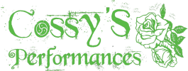 Cossy's performance, bdsm, workshop, demo, podium